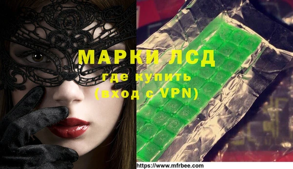 шишки Баксан