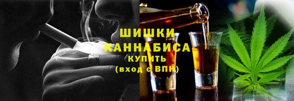шишки Баксан