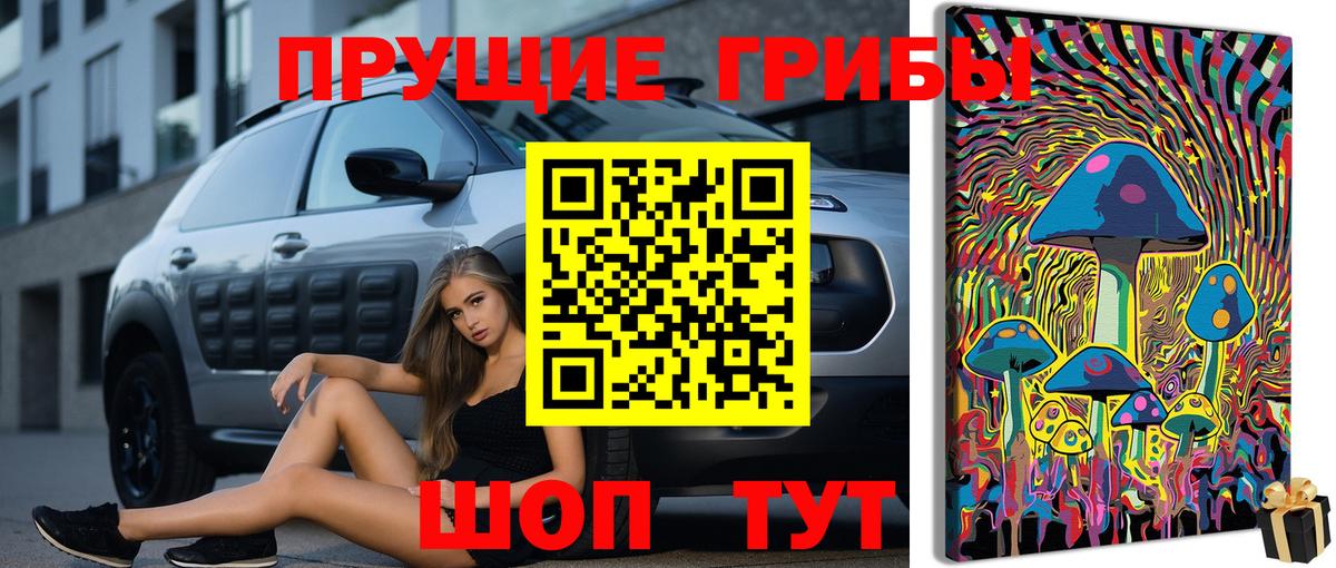 Новый Уренгой  Псилоцибиновые грибы MAGIC MUSHROOMS  Вход с VPN 
