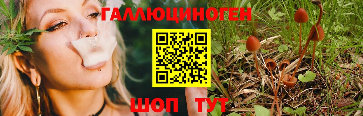 Новый Уренгой  Галлюциногенные грибы GOLDEN TEACHER  Вход с VPN  Галлюциногенные грибы прущие грибы 