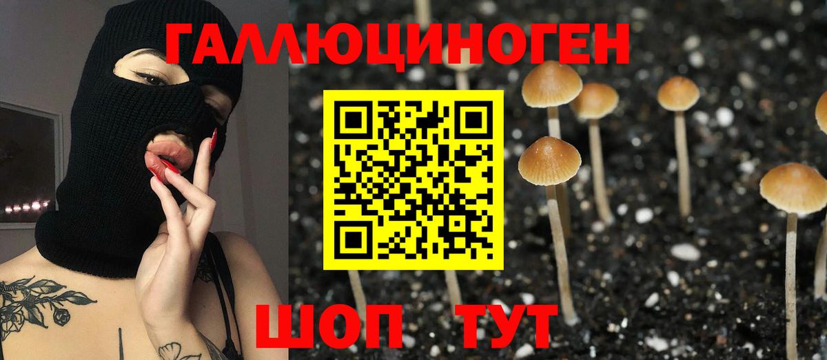 Галлюциногенные грибы мухоморы Новый Уренгой